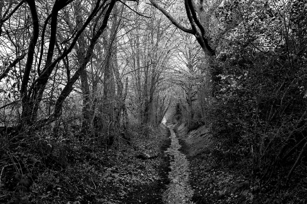 Image of Pathway Herts #1