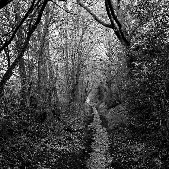 Image of Pathway Herts #1