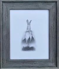 Image 1 of Rabbit of Mystery