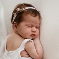 Image 5 of Vintage Roses - Coco