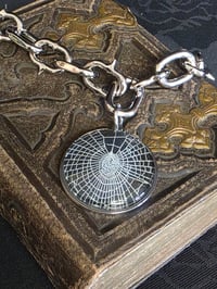 Image 1 of Spiked - Arachne Chain - preserved web 3.