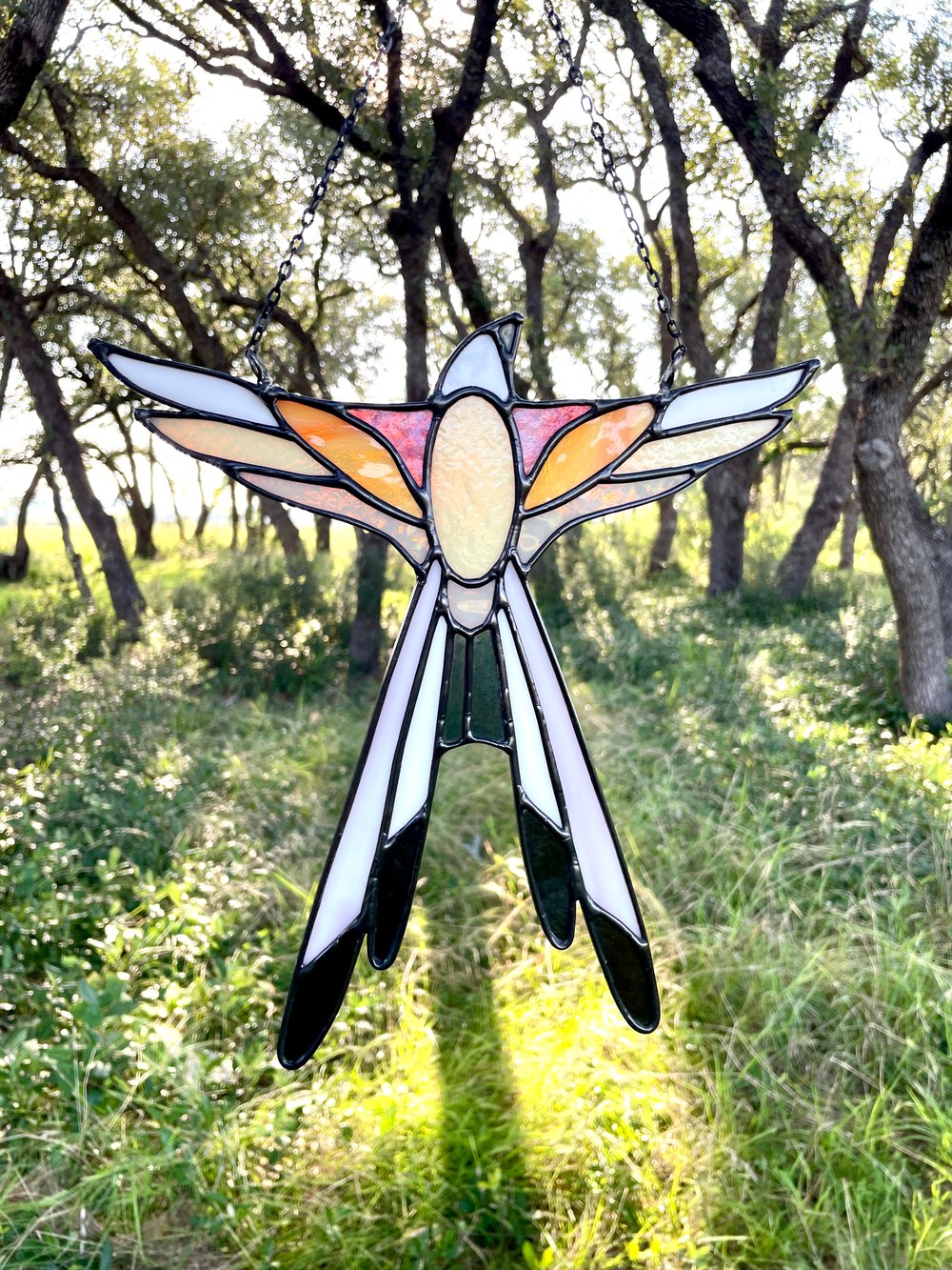 Image of Scissor- Tailed Flycatcher
