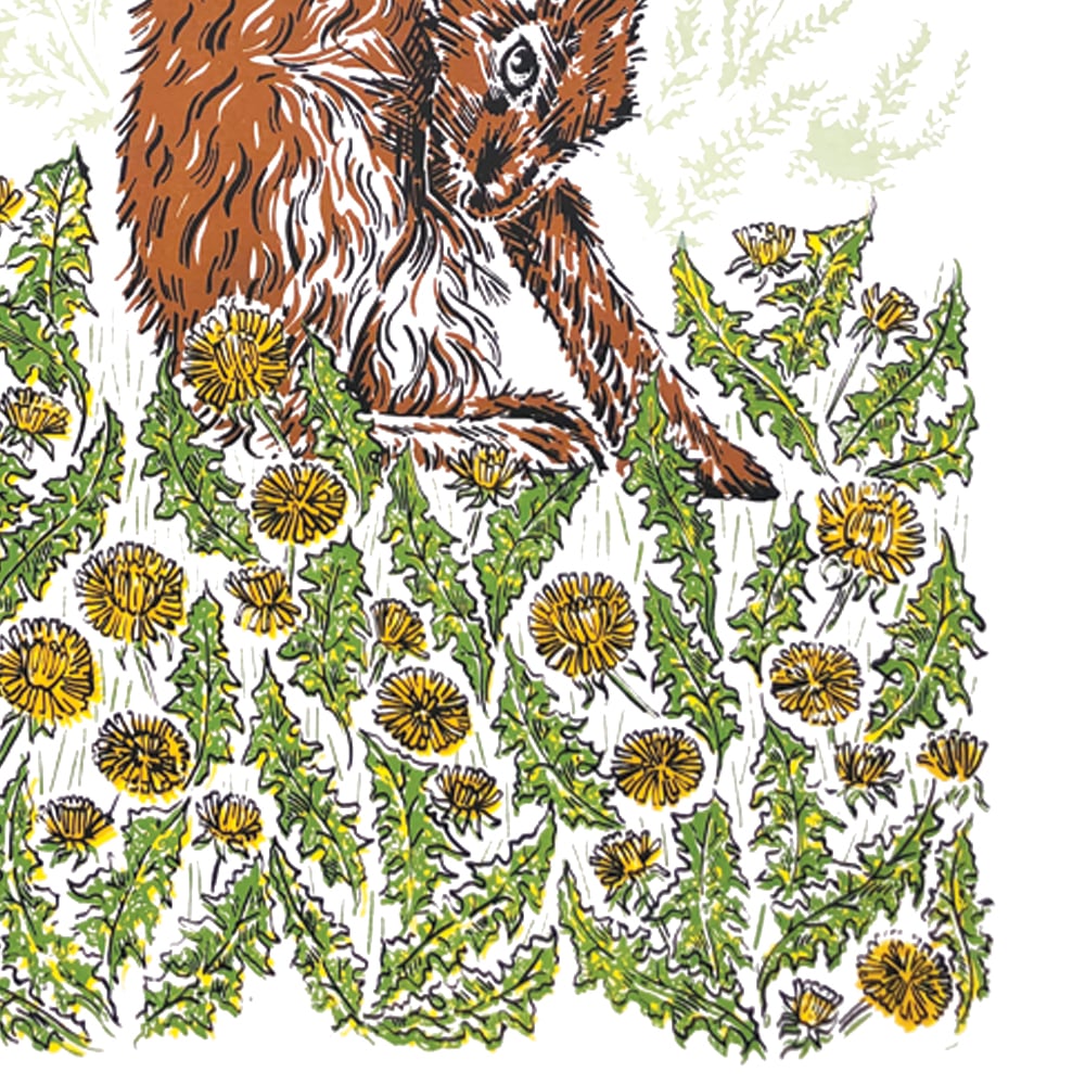 Image of Gap in the hedge