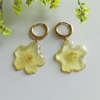 Image 2 of Conjunto Limoncello 🍋⭐