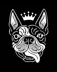 Boston Terrier - King