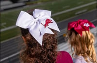 White Leaping Lion bow