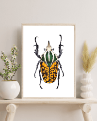 Image 2 of Mecynorrhina Oberthuri watercolor illustration PRINT 