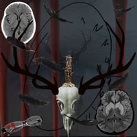 Image 1 of Ravenstag - A damp pine and sickness perfume