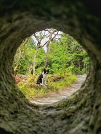 Through The Keyhole 