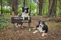 Meeting House 