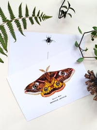 Image 7 of Lepidoptera Scientific Name Postcard Set