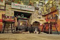 The Local.
