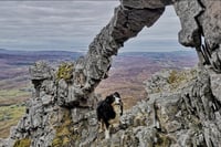 Fearless On The North Face. 