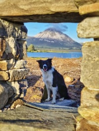 Errigal View.