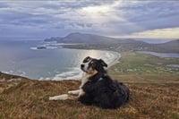 Minaun Heights. Achill Island. 