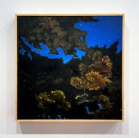 Image 1 of Underbelly