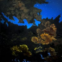 Image 2 of Underbelly