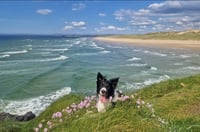 Beauty And The Beach.