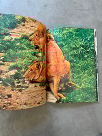 Image 5 of Animal Copulation - Tokumitsu Iwago 