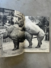 Image 3 of Animal Copulation - Tokumitsu Iwago 