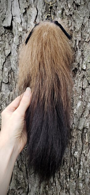 Image of Wolverine Tail 