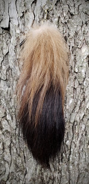 Image of Wolverine Tail 