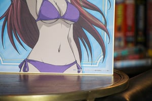 Image of Erza Scarlet Swimsuit Fairy Tail Japan OFFICIAL Shikishi Board