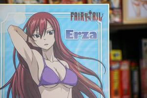 Image of Erza Scarlet Swimsuit Fairy Tail Japan OFFICIAL Shikishi Board