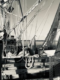 NETS, ROPES, CHAINS, OH MY