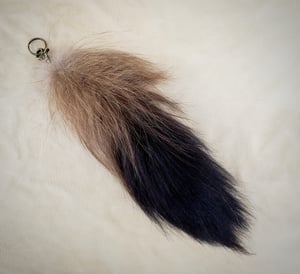 Image of Wolverine Tail 