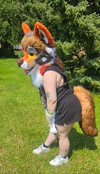 Image 3 of Red Wolf Fursuit Partial