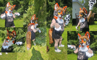 Image 5 of Red Wolf Fursuit Partial