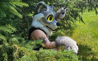 Image 1 of Gray Wolf Fursuit Partial