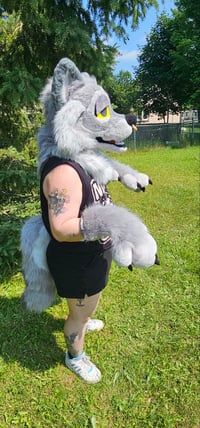 Image 2 of Gray Wolf Fursuit Partial