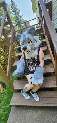 Image 4 of Gray Wolf Fursuit Partial