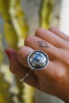 Silver Opal Concho Ring (size 9)