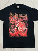 Image of SEPTIC FLESH Mystic Places Of Dawn TS/LS/ZIP