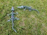 Image 2 of Skeleton Crocodiles