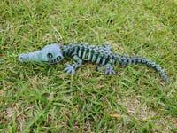 Image 1 of Skeleton Crocodiles