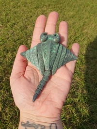 Image 3 of Tattooed Manta Ray