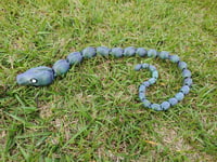 Image 5 of Snakes