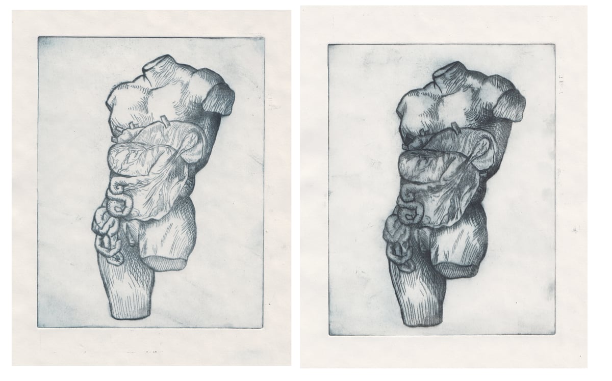 Image of Anatomical Intaglio Prints