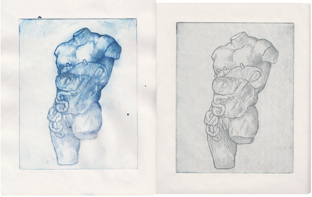 Image of Anatomical Intaglio Prints