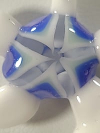 Image 4 of Tiny albino turtle