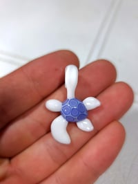 Image 5 of Tiny albino turtle