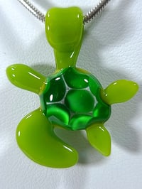 Image 6 of Tiny turtle 