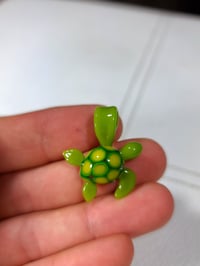 Image 5 of Tiny turtle-1