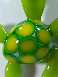 Image 3 of Tiny turtle-1