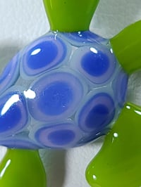 Image 3 of Tiny turtle-2