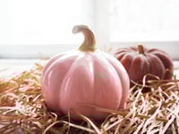 Image 1 of Interior elements: Pink decorative ceramic pumpkin for home